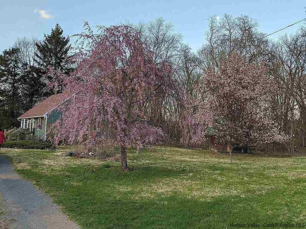 99 Grist Mill Road Tillson, NY 12486 - Photo 6 of 6 a backyard of a house with lots of green space