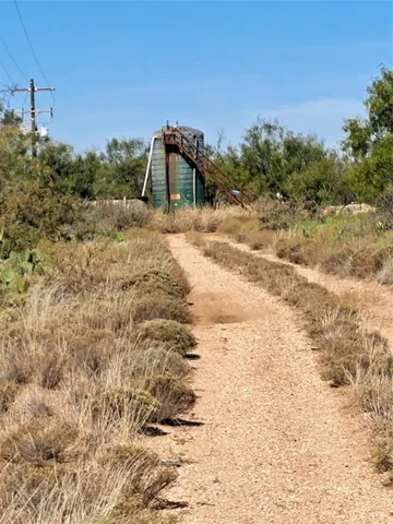 a view of a dry yard with trees