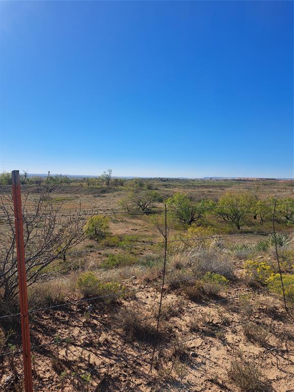 140.60 Acres Merkel, TX 79536 - Photo 21 of 26 a view of a forest with trees in the background
