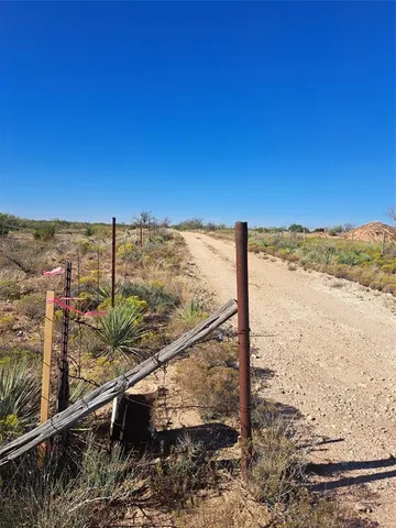 a view of a yard with an trees