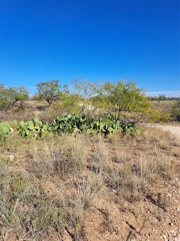 a view of a large tree with a yard