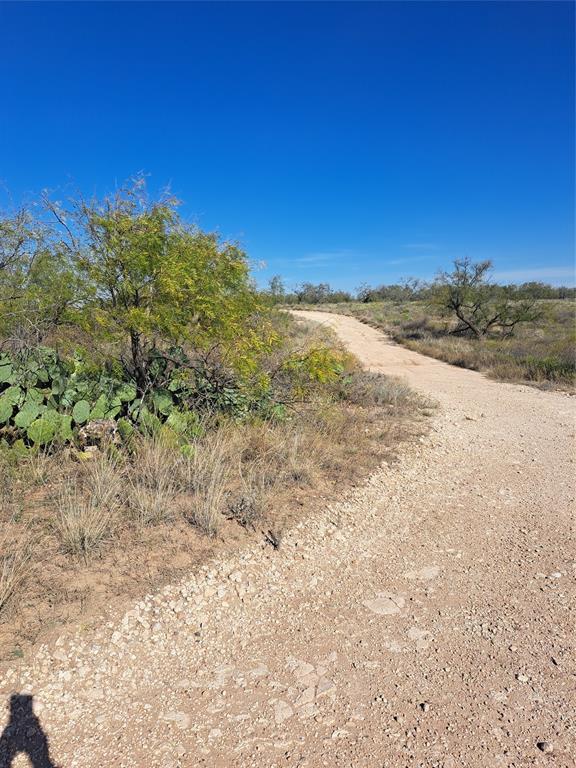 140.60 Acres Merkel, TX 79536 - Photo 25 of 26 a view of a large tree with a yard