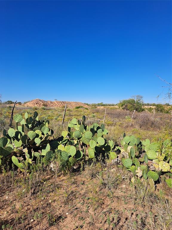 140.60 Acres Merkel, TX 79536 - Photo 26 of 26 a view of a large mountain with mountains in the background