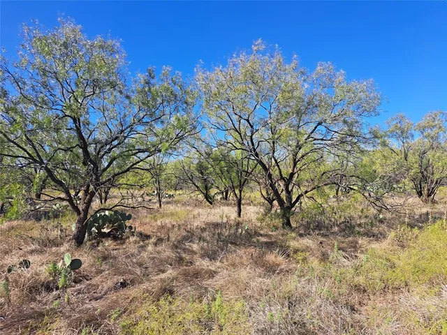 a view of a yard with a tree