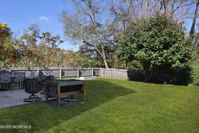 a view of a deck with a bench and a large tree