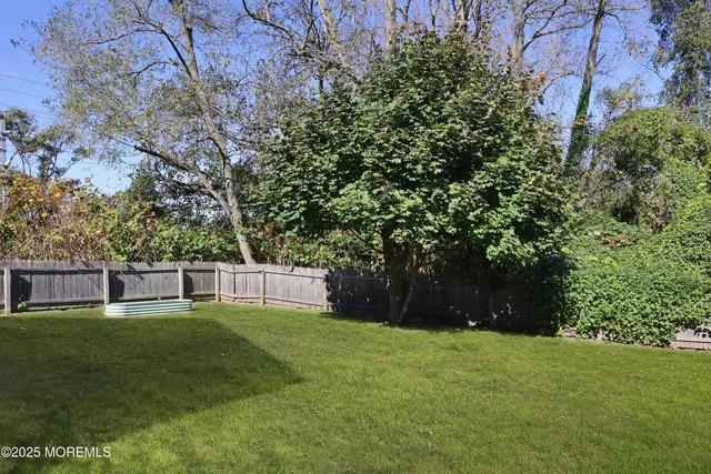 a view of a backyard with a large tree