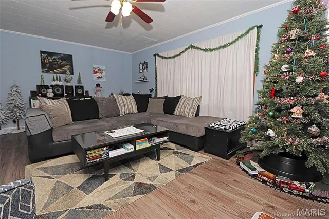 $149,000 | 217 North Alexander Street, Farmington, MO 63640