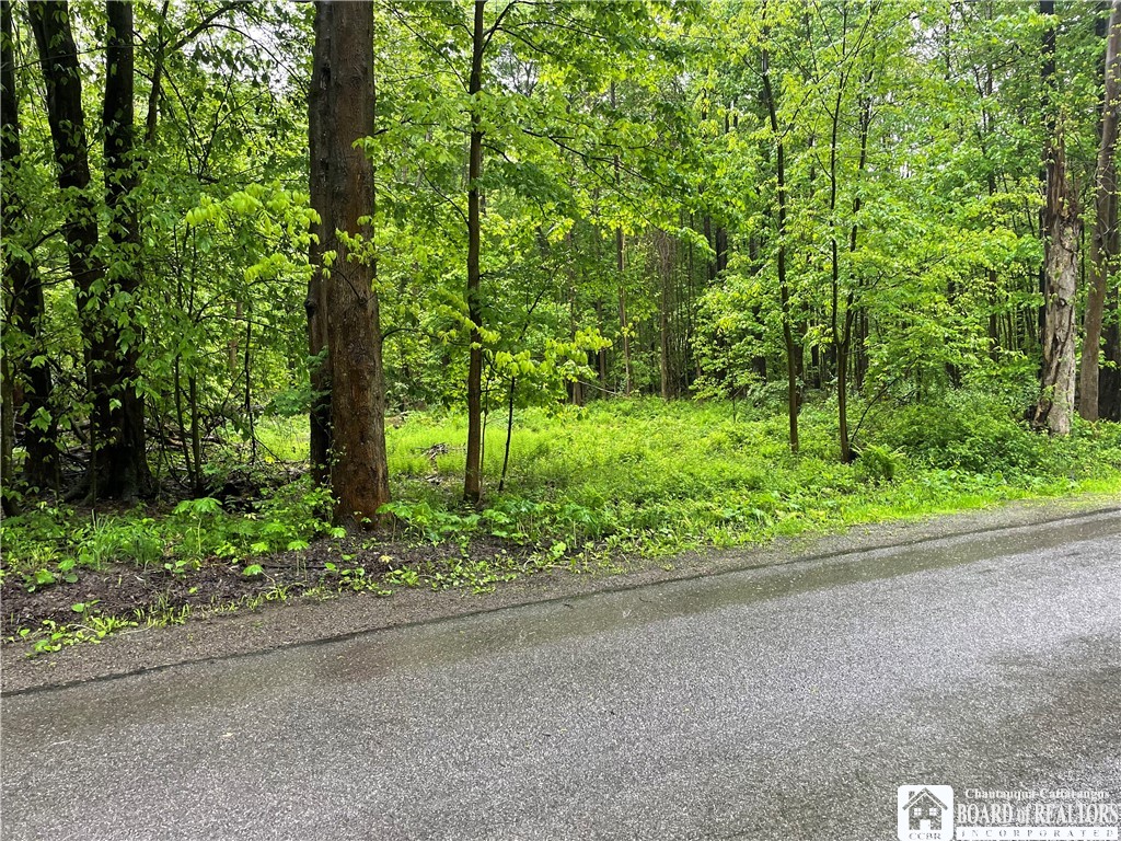 0 Walker Road Bemus Point, NY 14712 - Photo 13 of 25