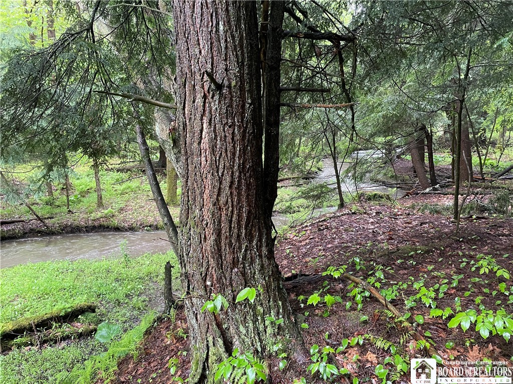 0 Walker Road Bemus Point, NY 14712 - Photo 2 of 25