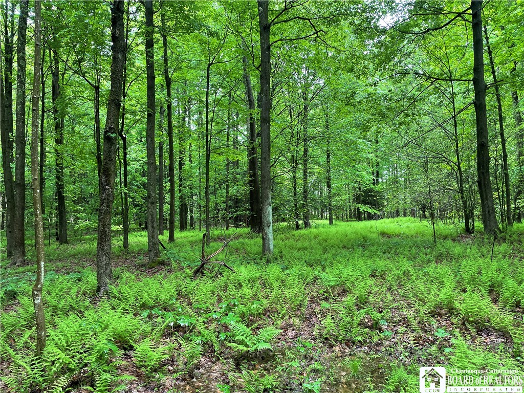 0 Walker Road Bemus Point, NY 14712 - Photo 3 of 25