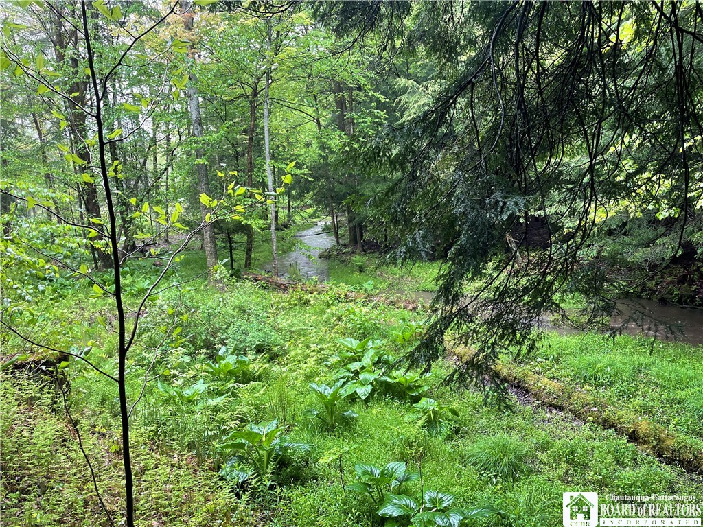 0 Walker Road Bemus Point, NY 14712 - Photo 8 of 25