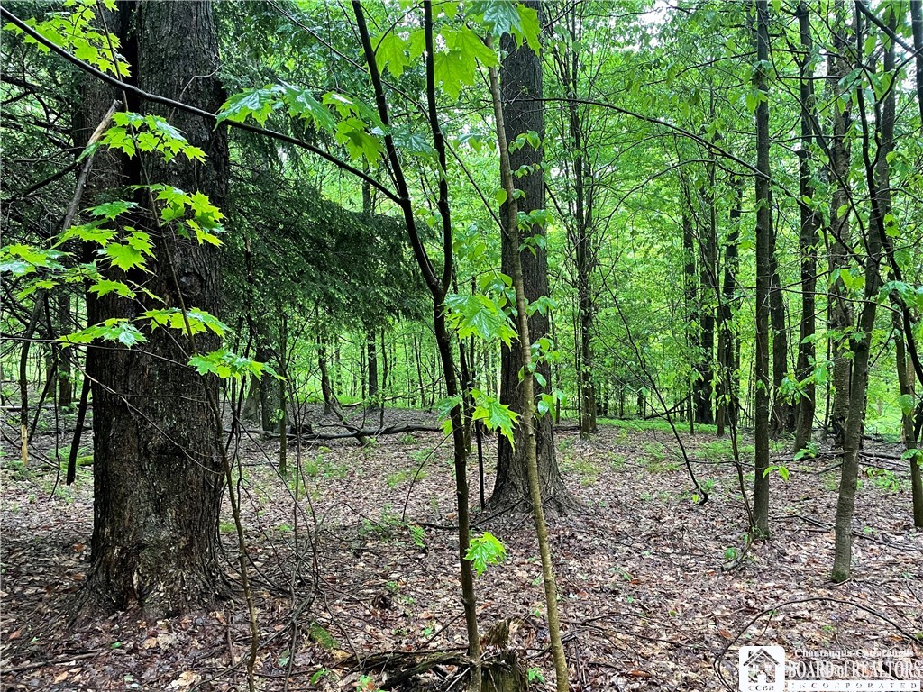 0 Walker Road Bemus Point, NY 14712 - Photo 10 of 25