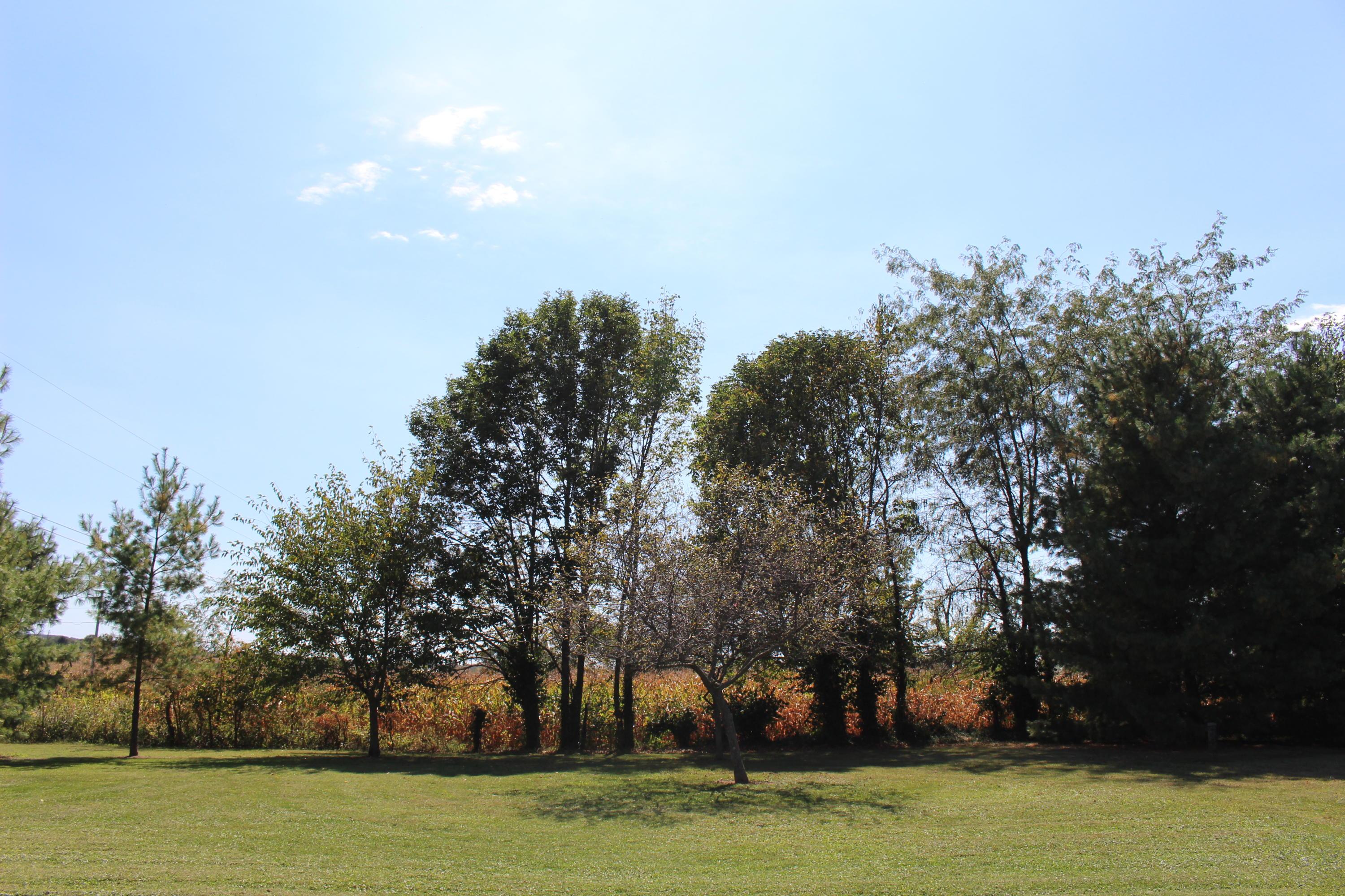 8651 16th Road Southwest Amanda, OH 43102 - Photo 45 of 47