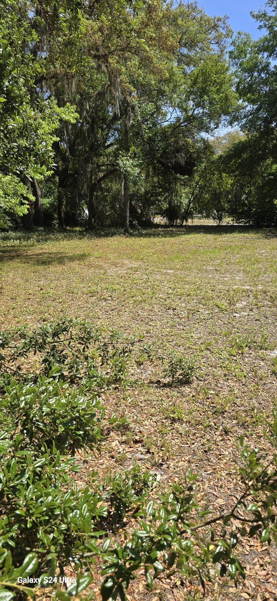 0 Fir Street Fernandina Beach, FL 32034 - Photo 1 of 3