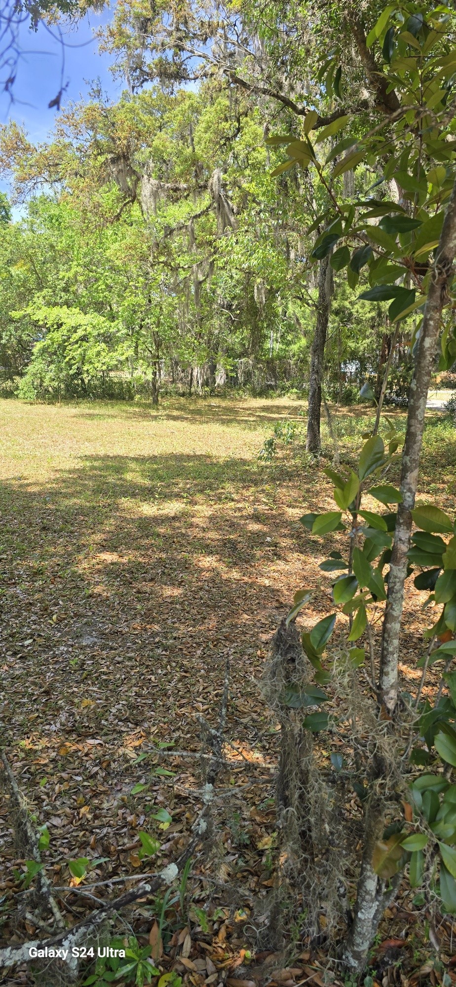0 Fir Street Fernandina Beach, FL 32034 - Photo 2 of 3 a view of an ocean