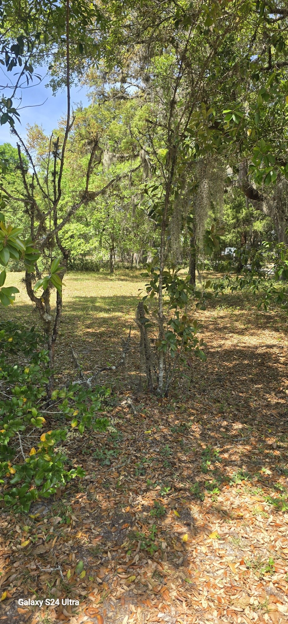 0 Fir Street Fernandina Beach, FL 32034 - Photo 3 of 3 a view of lake view