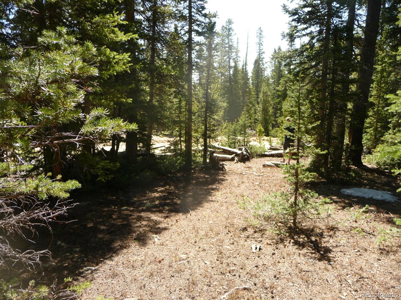 541 Porcupine Road Fairplay, CO 80440 - Photo 6 of 24 Gallery Image 6