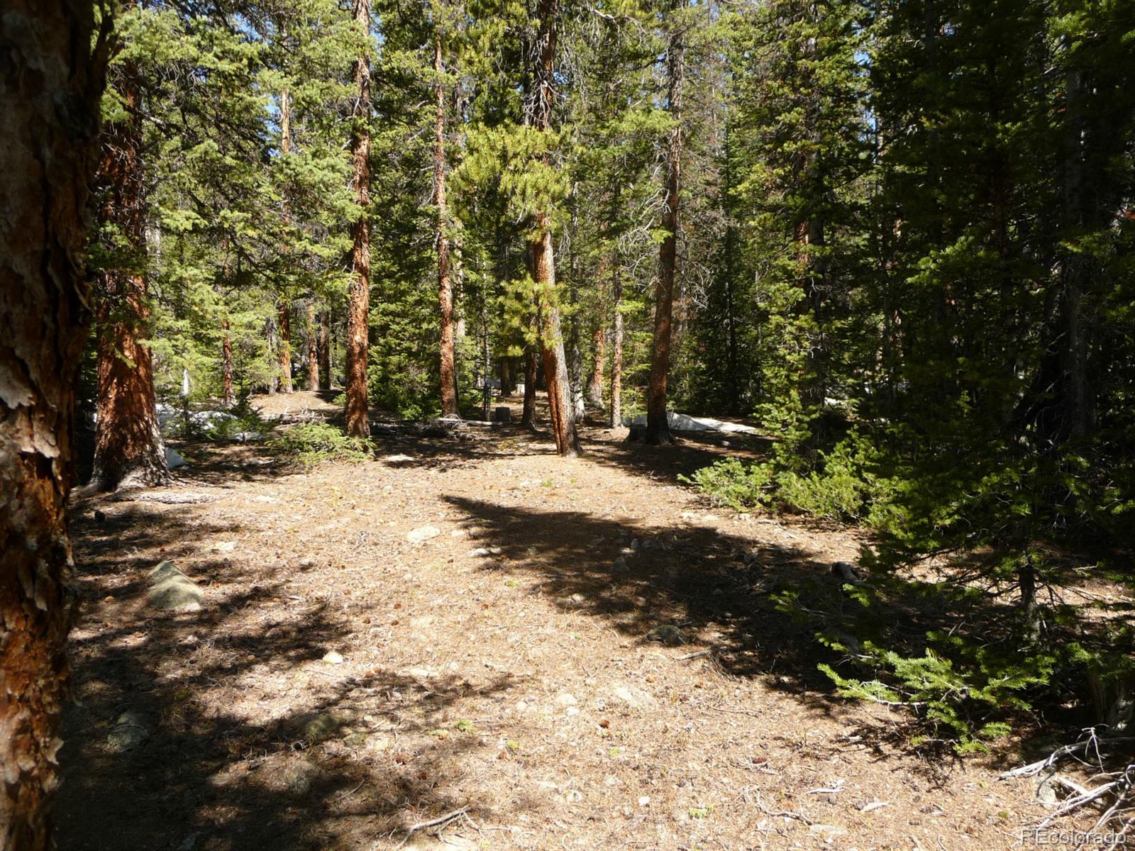 541 Porcupine Road Fairplay, CO 80440 - Photo 9 of 24 Gallery Image 9