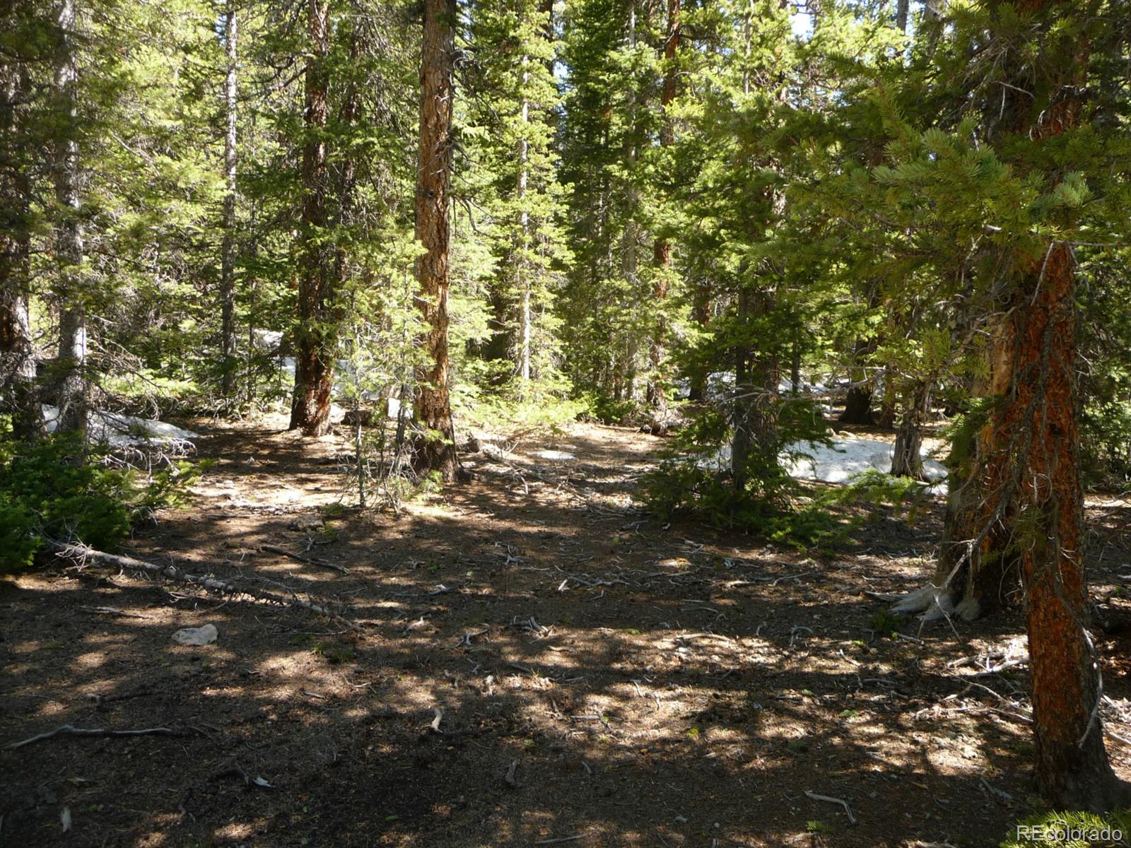 541 Porcupine Road Fairplay, CO 80440 - Photo 10 of 24 Gallery Image 10