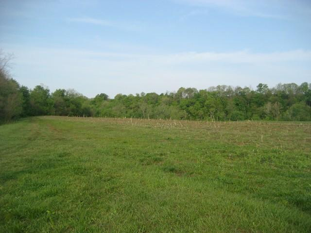 1 Myers Road Carlisle, KY 40311 - Photo 3 of 32 Photo 3