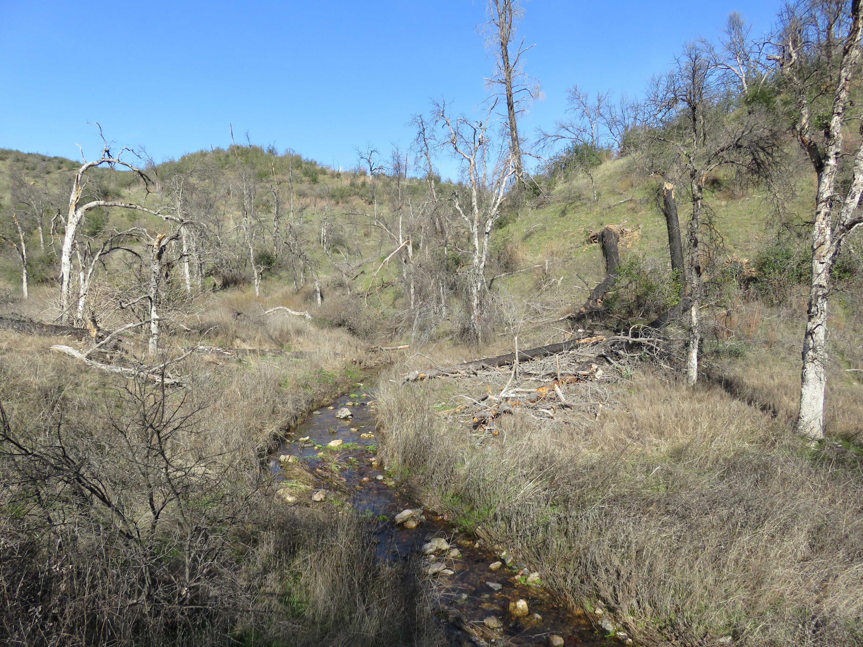 40-acres Aloha Road Bella Vista, CA 96008 - Photo 1 of 20 Terrain and creek on property