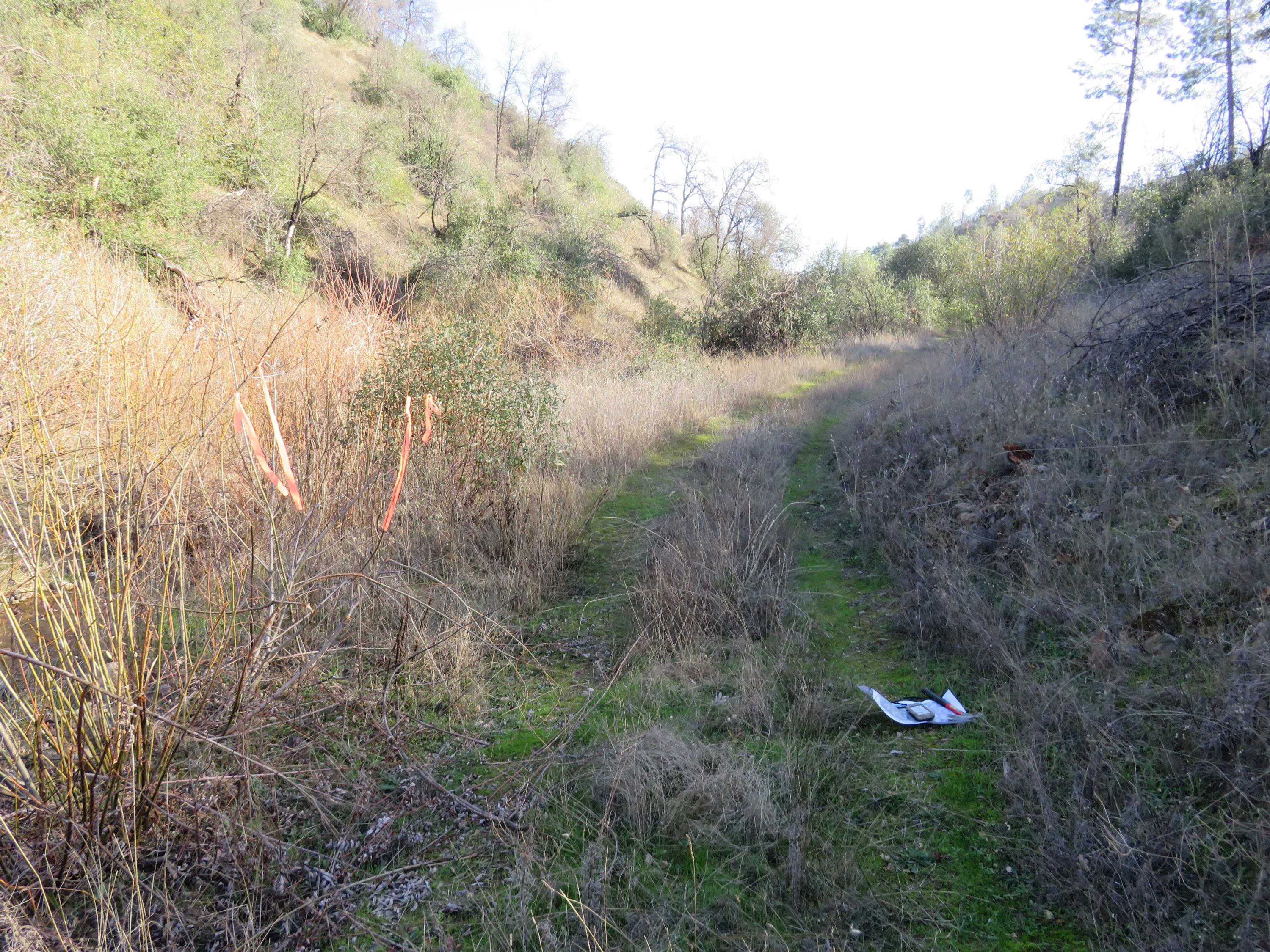 40-acres Aloha Road Bella Vista, CA 96008 - Photo 5 of 20 Flagging at south border