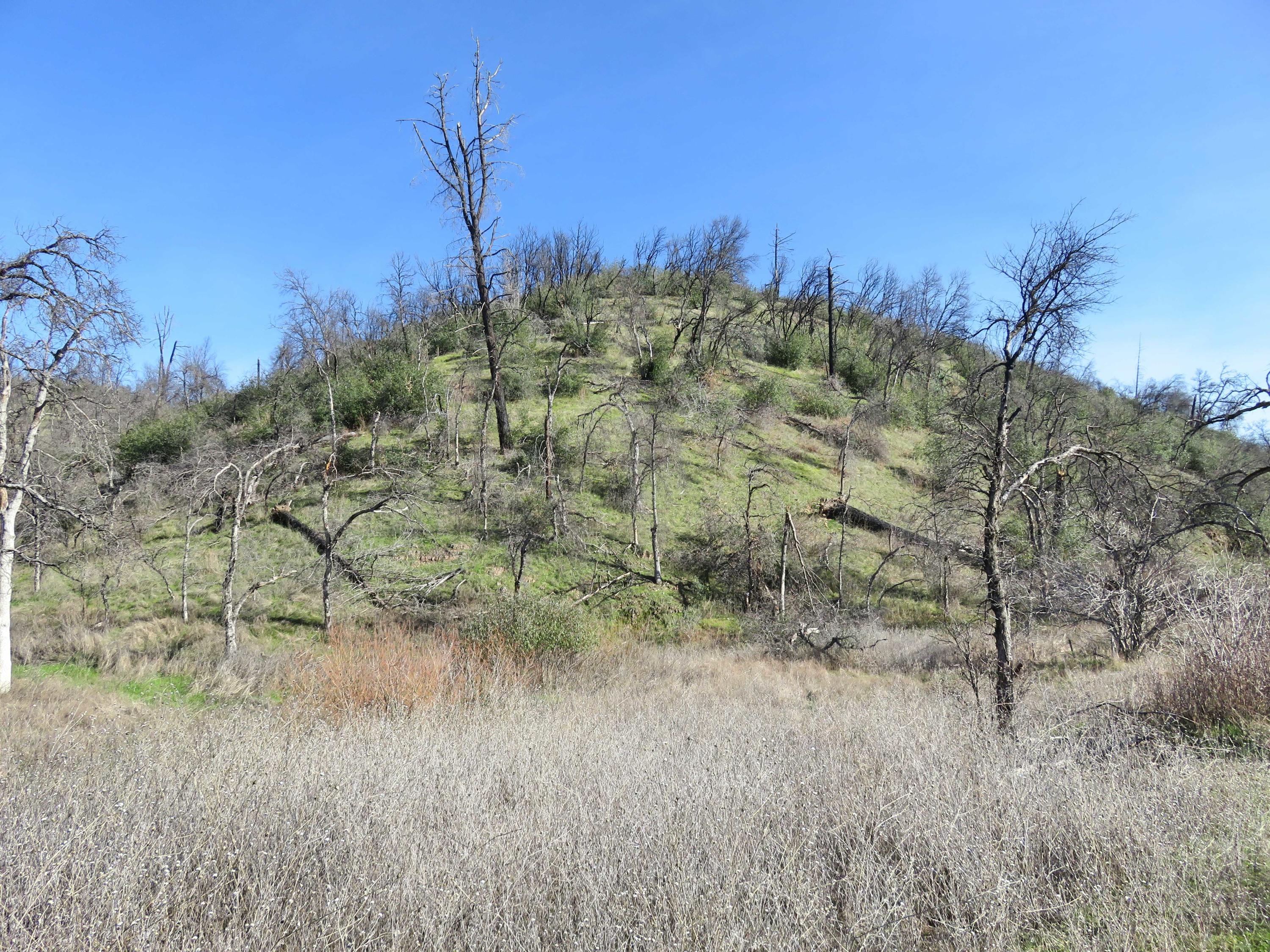 40-acres Aloha Road Bella Vista, CA 96008 - Photo 7 of 20 Hill on property