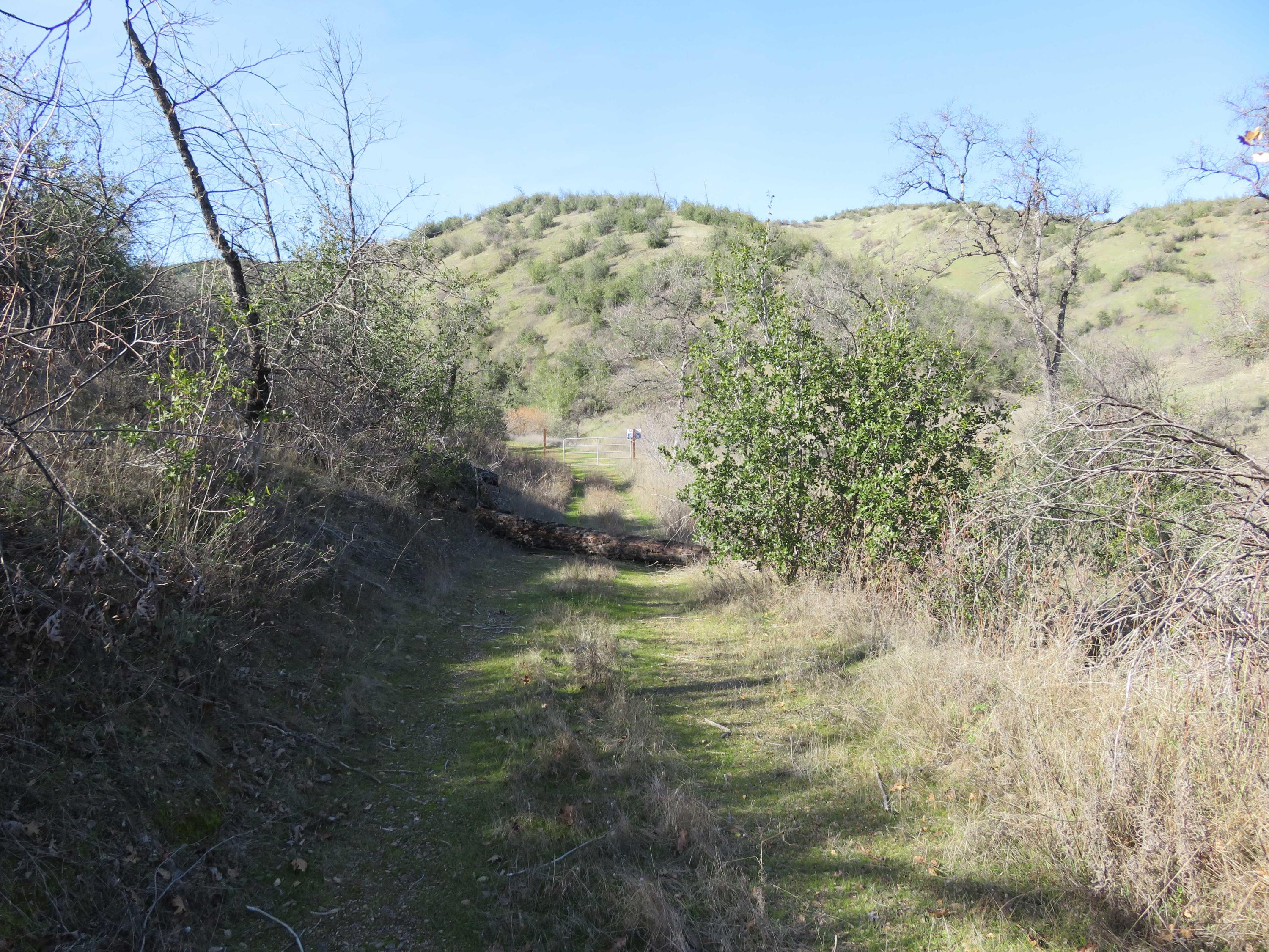 40-acres Aloha Road Bella Vista, CA 96008 - Photo 8 of 20 Looking back towards gate
