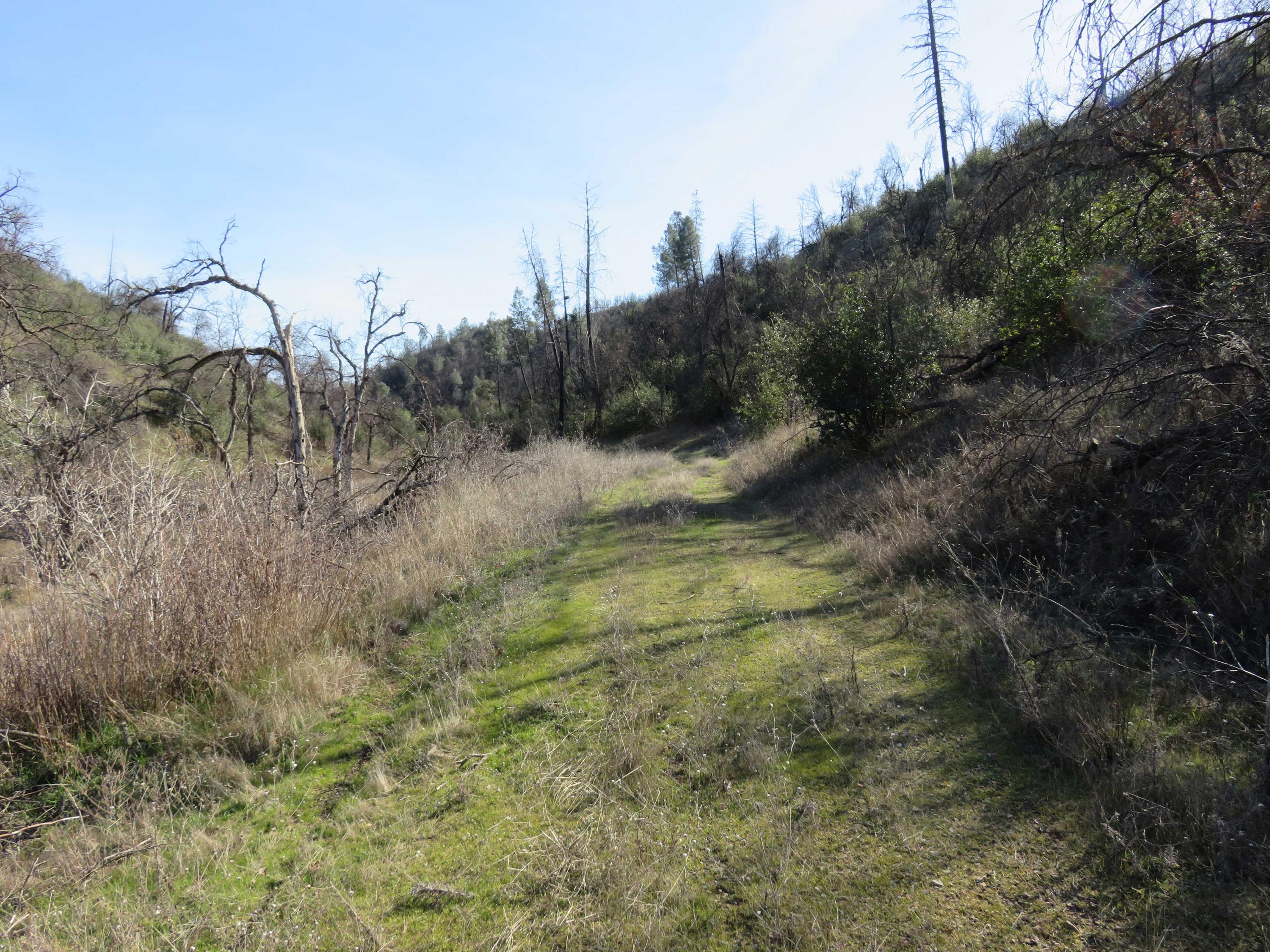 40-acres Aloha Road Bella Vista, CA 96008 - Photo 9 of 20 Road through property