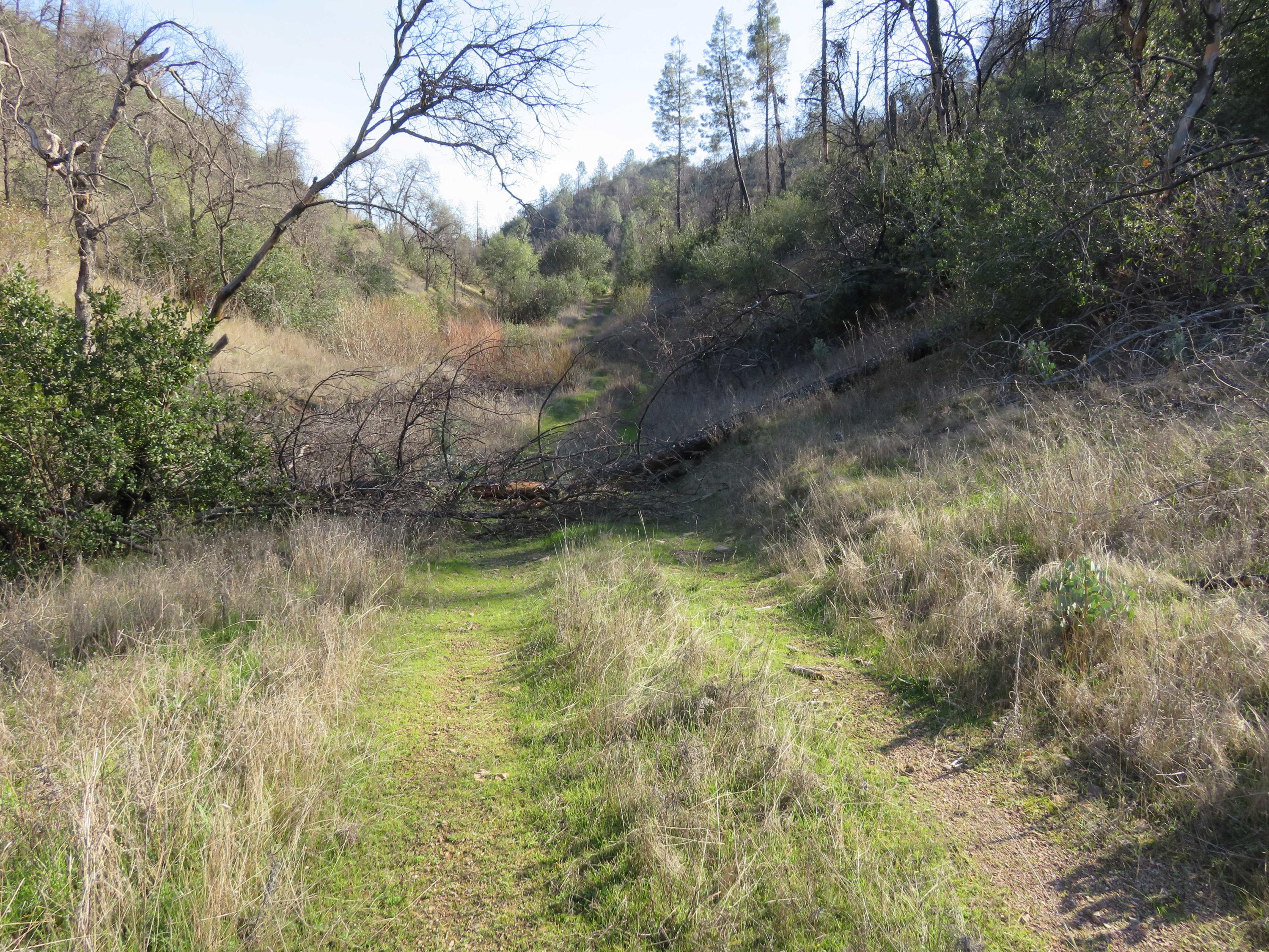 40-acres Aloha Road Bella Vista, CA 96008 - Photo 10 of 20 Road thru property
