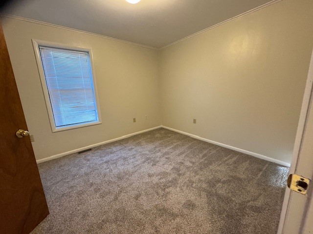 19 Fairview Avenue Amity, NY 14813 - Photo 11 of 28