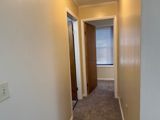 19 Fairview Avenue Amity, NY 14813 - Photo 6 of 28