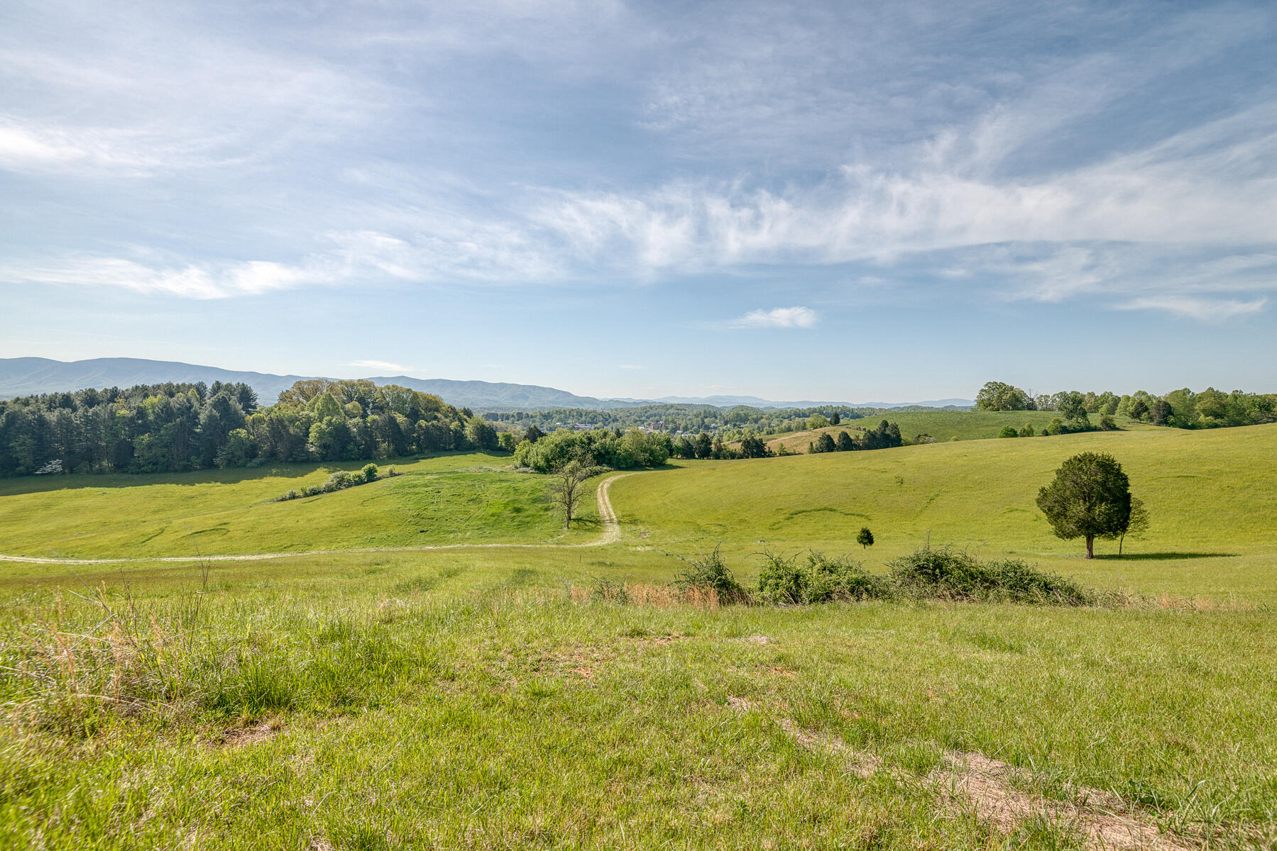 Hamilton Hill Rd 31