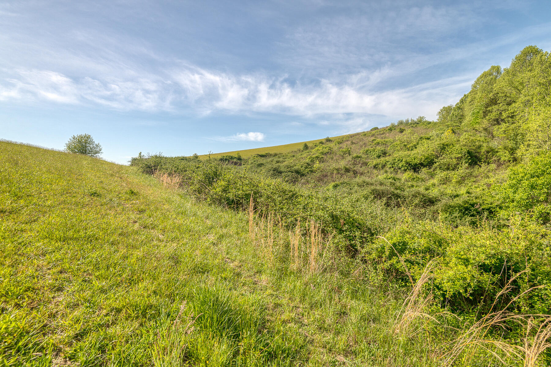 Tbd Hamilton Hill Road Bluff City, TN 37618 - Photo 28 of 35 Hamilton Hill Rd 27