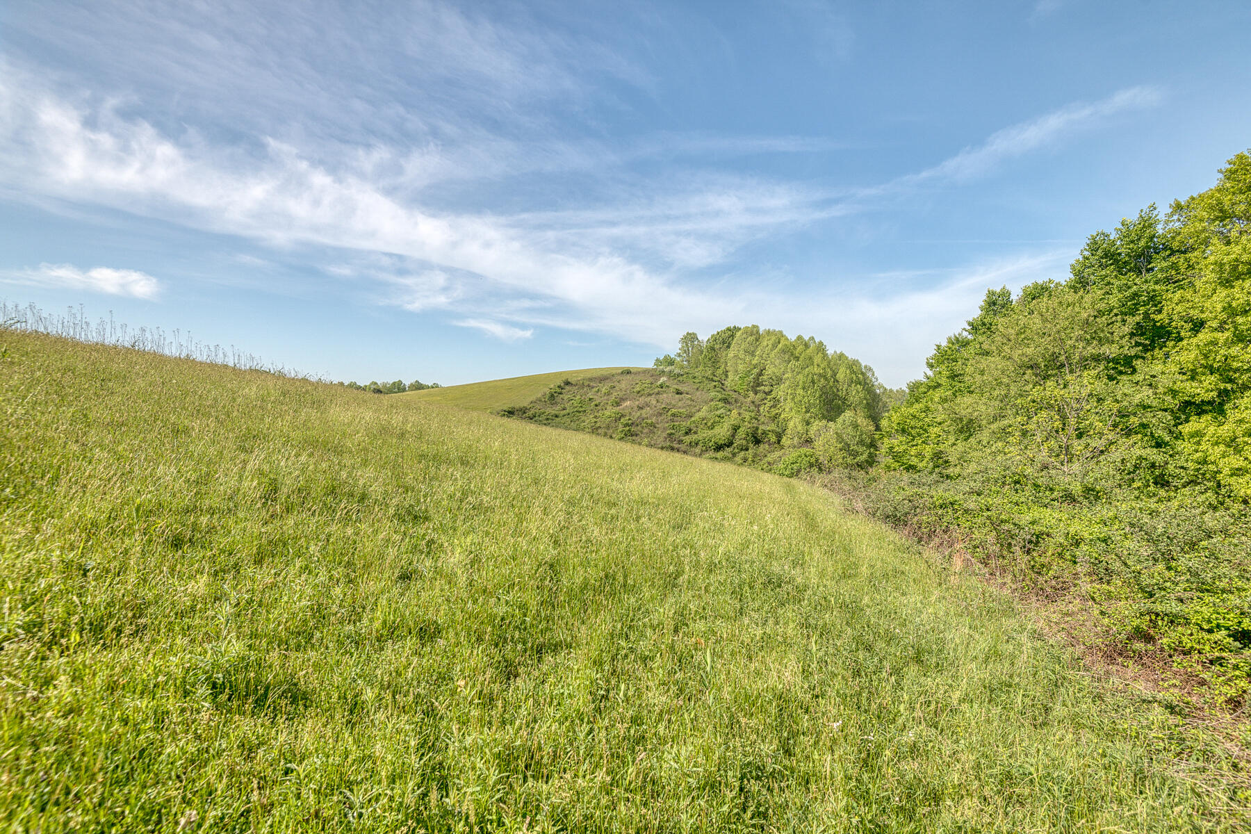 Tbd Hamilton Hill Road Bluff City, TN 37618 - Photo 31 of 35 Hamilton Hill Rd 30