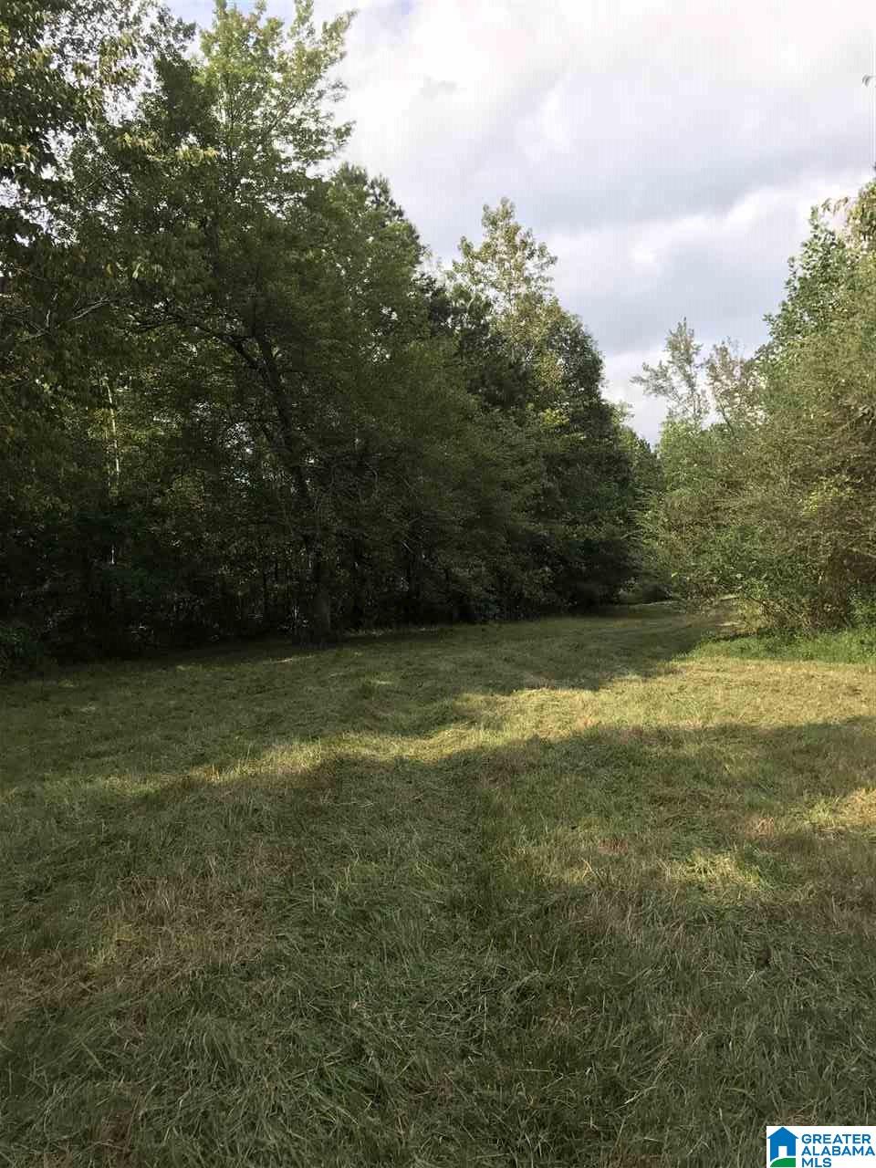 516 County Road Woodland, AL 36280 - Photo 8 of 22