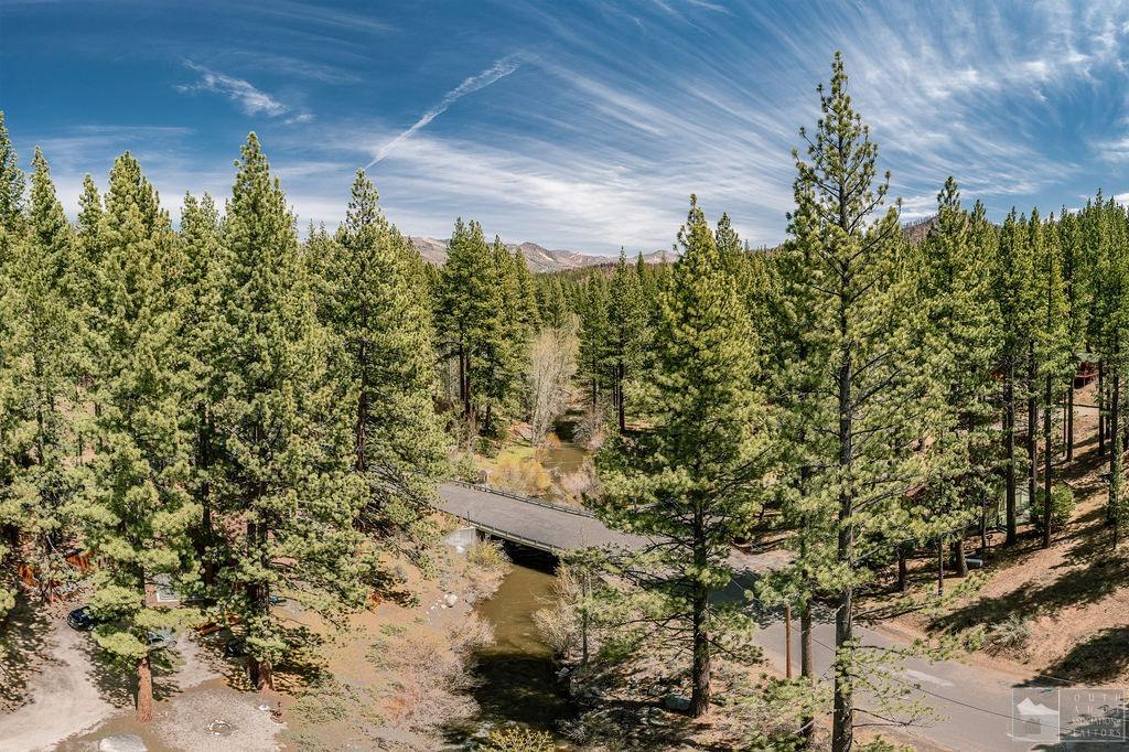 270 Timber Lane Markleeville, CA 96120 - Photo 19 of 24 a view of a pathway with a tree