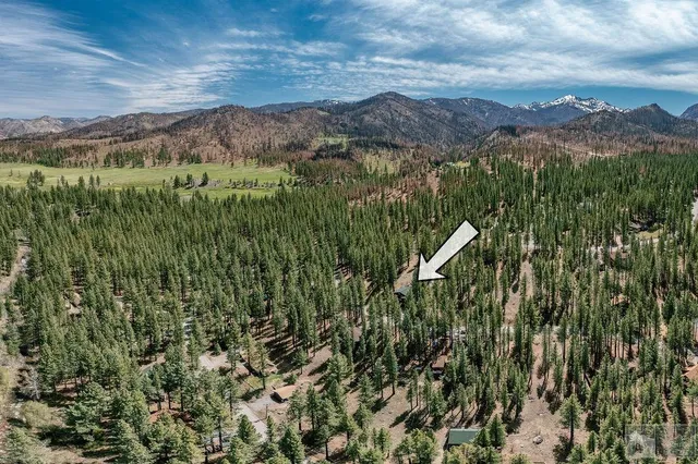 $419,000 | 270 Timber Lane, Markleeville, CA 96120