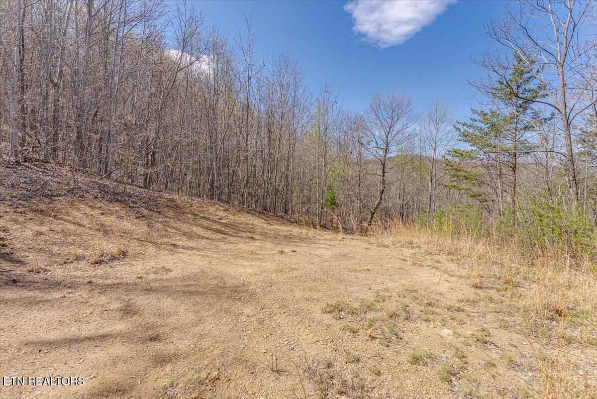 422 Crooked Branch Road Huntsville, TN 37756 - Photo 25 of 35 35-1st Clearing A3