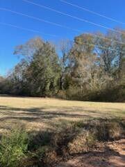 5123 Elmore Road Graceville, FL 32440 - Photo 5 of 13 20250122012410011169000000-o