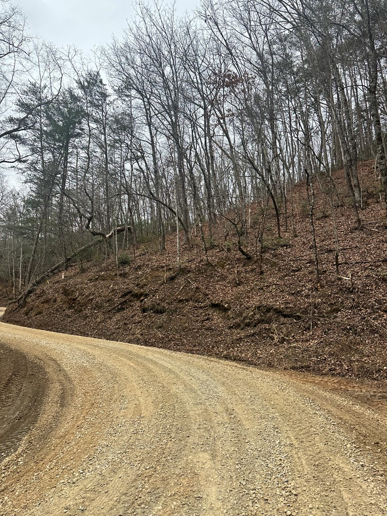 0 Tatham Gap Road Andrews, NC 28901 - Photo 7 of 7