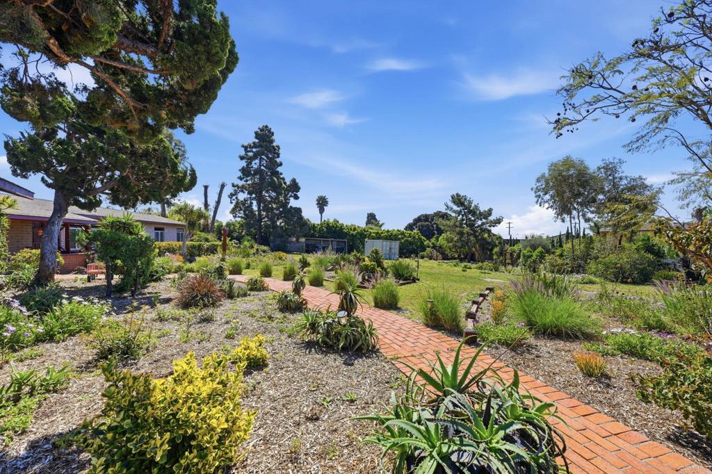 1355 Rainbow Ridge Lane Encinitas, CA 92024 - Photo 2 of 45 a view of a garden with a tree in the background