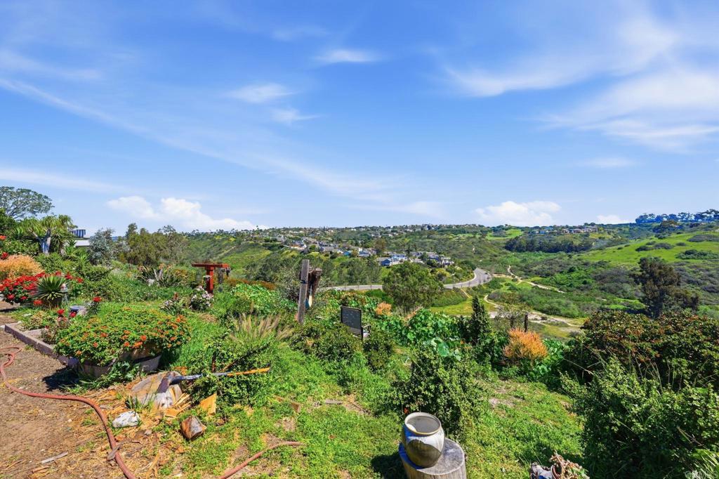 1355 Rainbow Ridge Lane Encinitas, CA 92024 - Photo 3 of 45 a view of a city with lush green forest