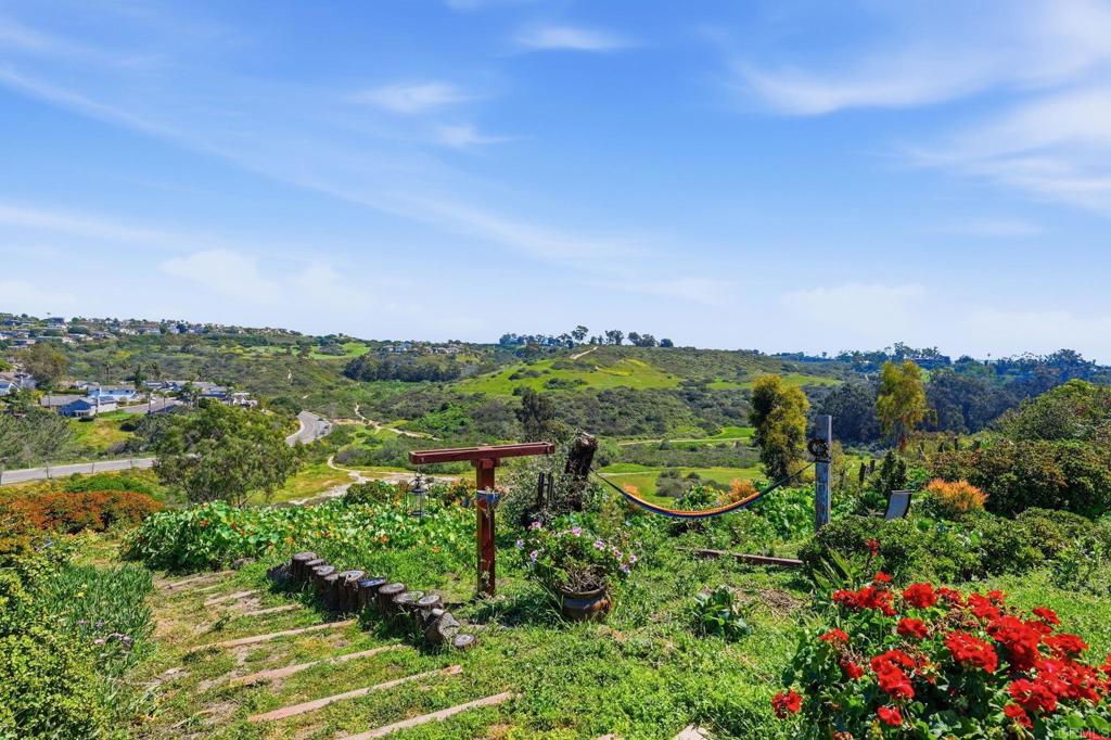 1355 Rainbow Ridge Lane Encinitas, CA 92024 - Photo 35 of 45 a view of a city with lush green forest