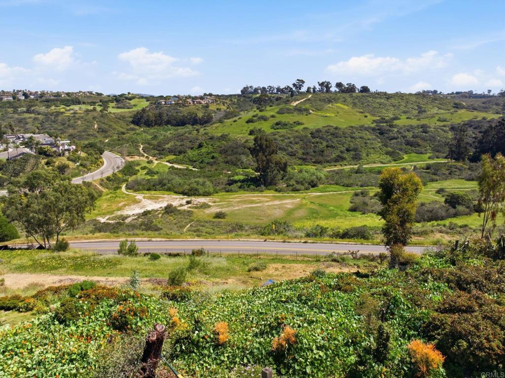 1355 Rainbow Ridge Lane Encinitas, CA 92024 - Photo 45 of 45 a view of a city