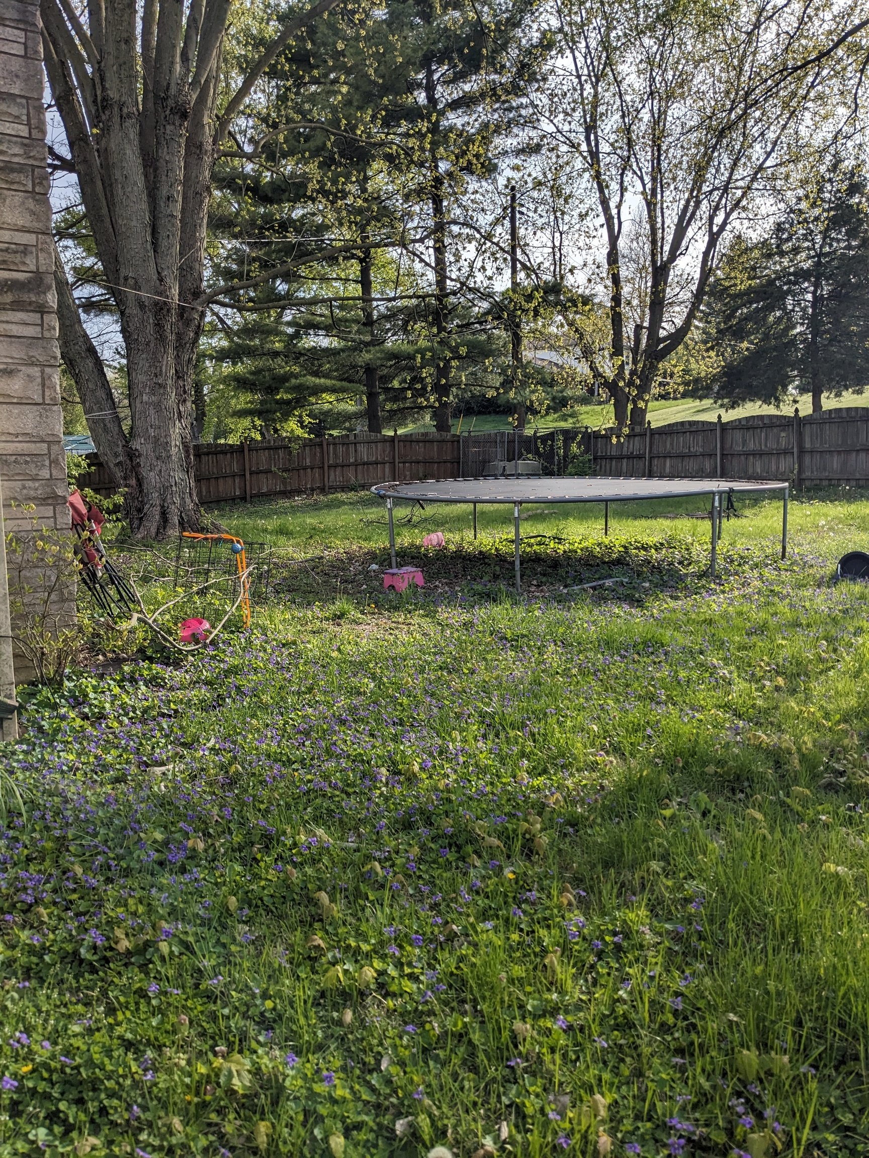 1697 Edgehill Road Shelbyville, IN 46176 - Photo 15 of 18