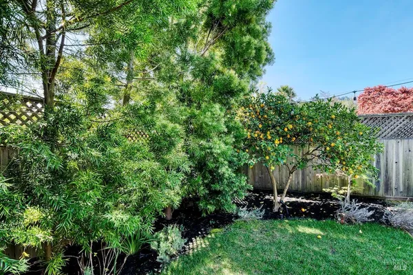 $3,790,000 | 34 Diane Lane, Larkspur, CA 94939