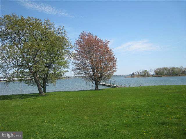 213 Jones Road Chester, MD 21619 - Photo 9 of 27 Lawn and the view