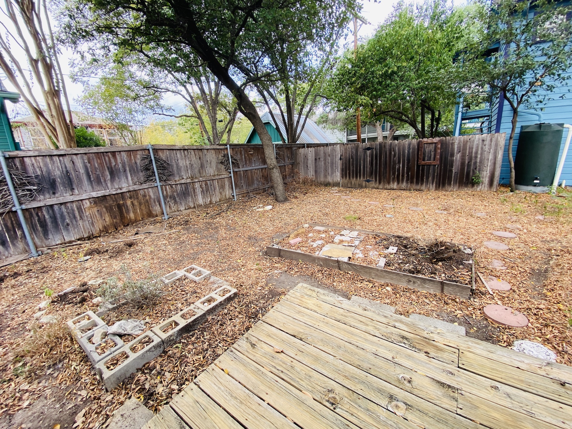 404 East 35th Street, Unit A Austin, TX 78705 - Photo 16 of 36 a view of a backyard with wooden fence and a large tree