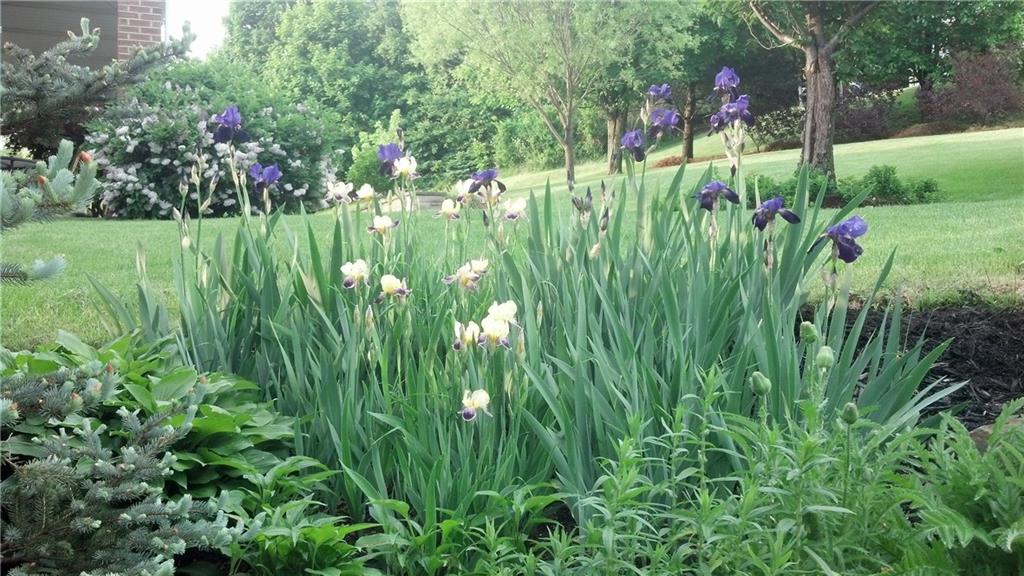 208 Ruth Way McDonald, PA 15057 - Photo 23 of 23 Gallery Image 23